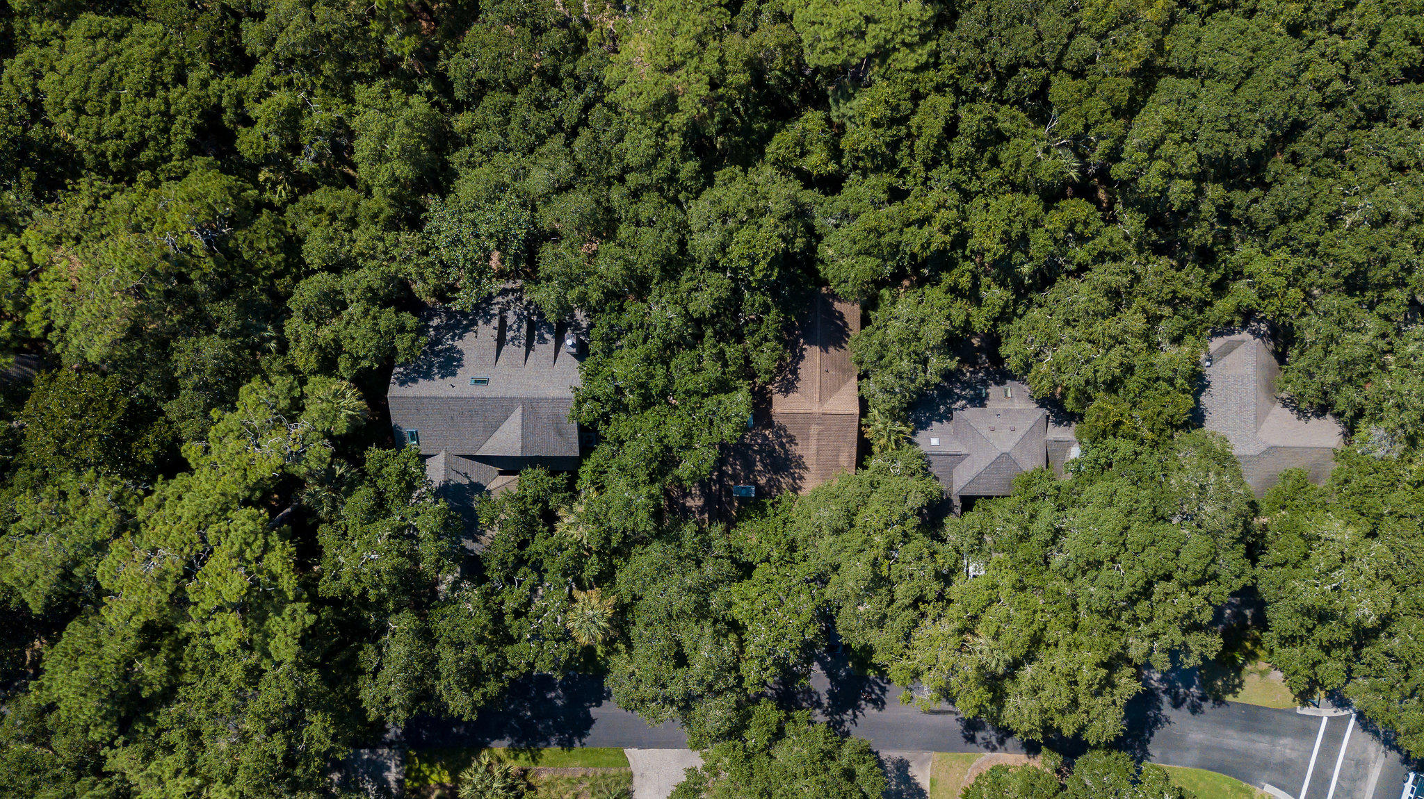 418 Amaranth Road Kiawah Island, SC 29455 - Photo 47 of 77 418AmaranthDrive-50