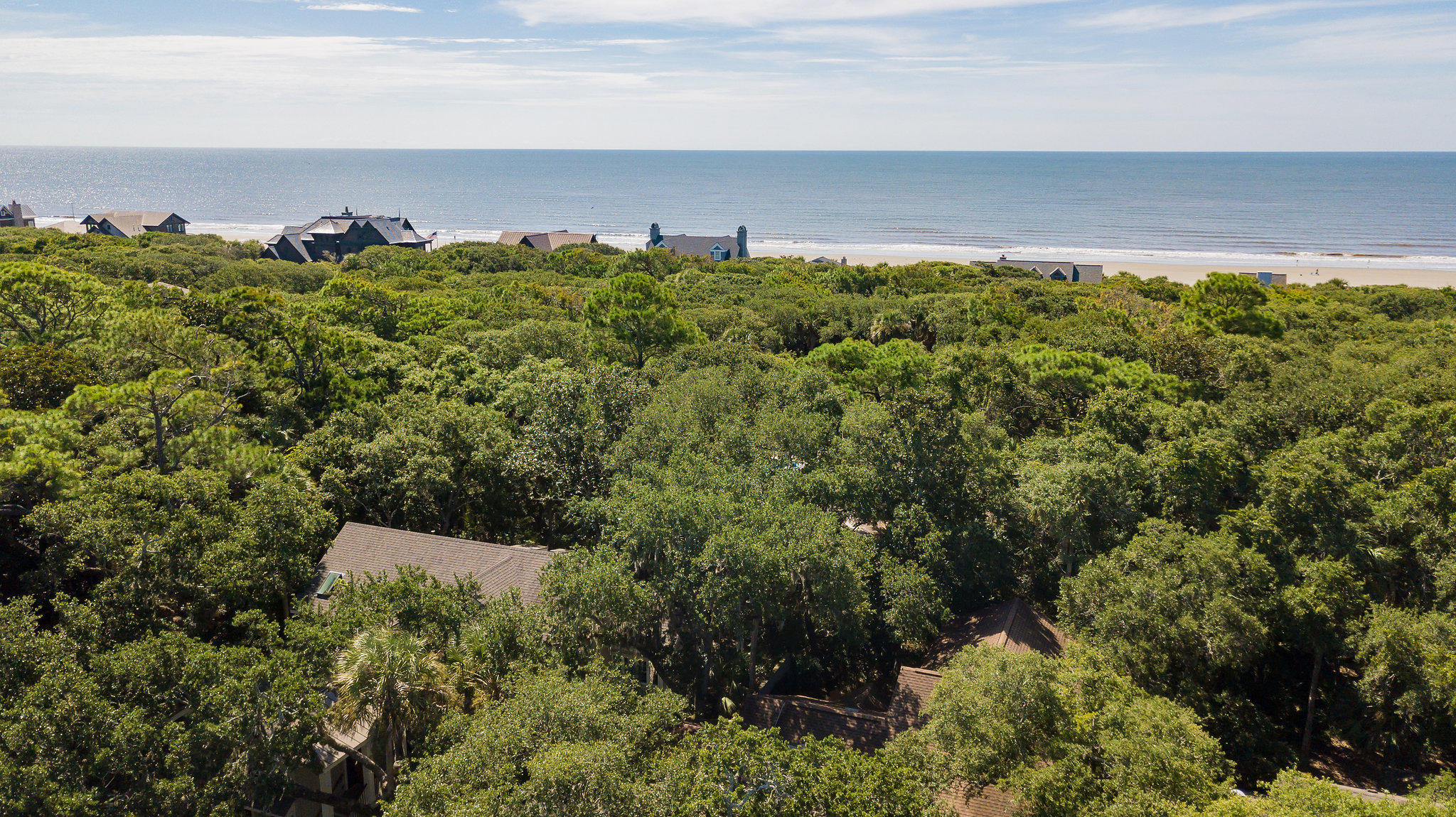 418 Amaranth Road Kiawah Island, SC 29455 - Photo 48 of 77 418AmaranthDrive-51
