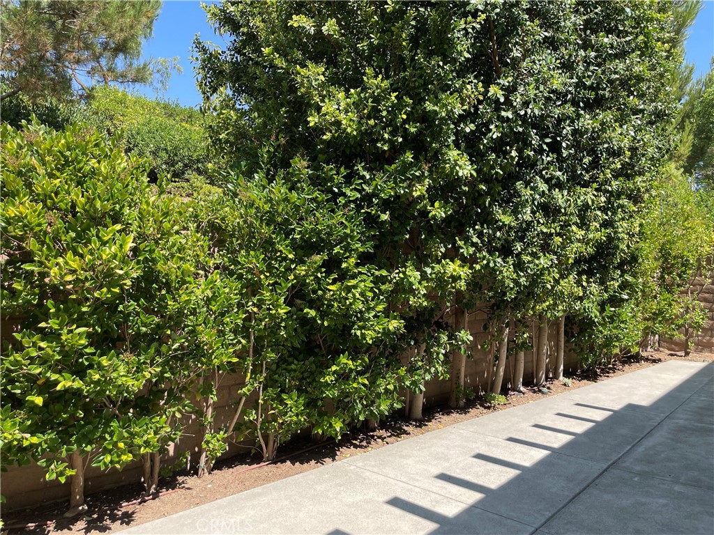 182 Working Ranch Irvine, CA 92602 - Photo 44 of 46