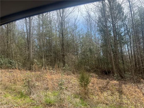 $120,000 | 238 Freedom Drive, Millers Creek, NC 28651