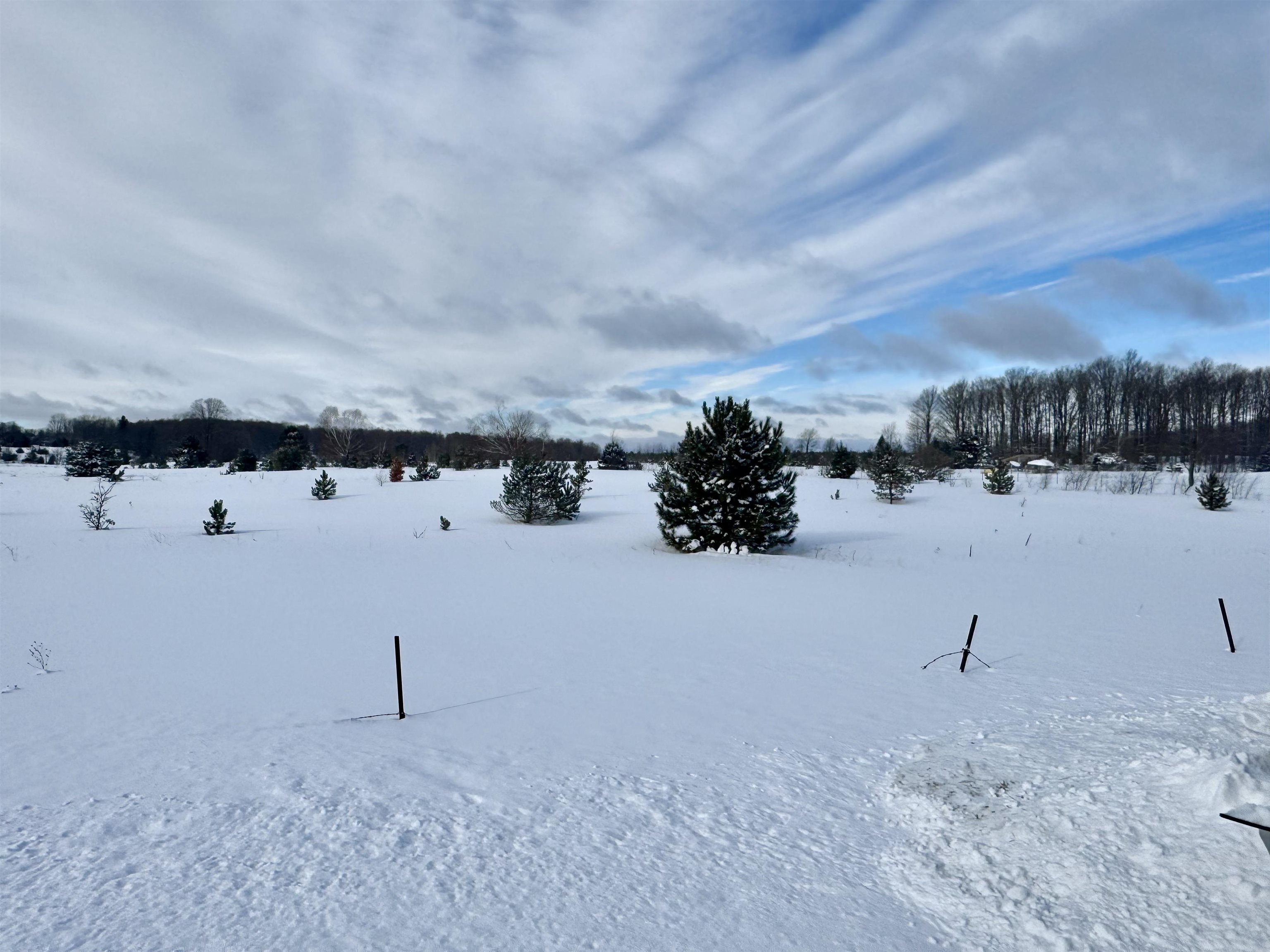 17.5 A Creighton Road Southwest South Boardman, MI 49680 - Photo 8 of 10 Gallery Image 8