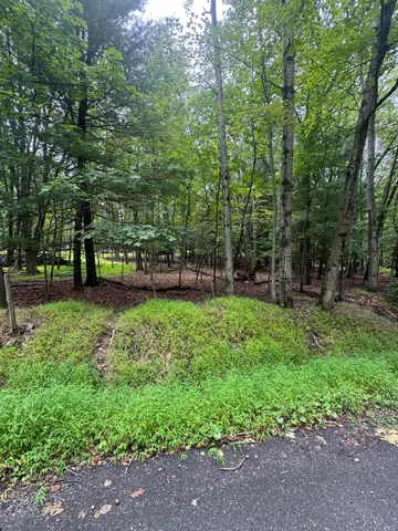 a view of yard with green space