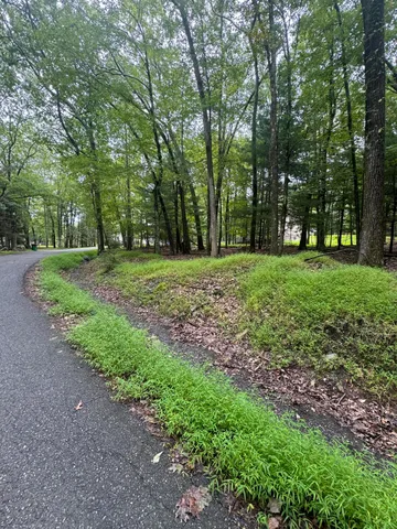 a big yard with lots of green space and trees