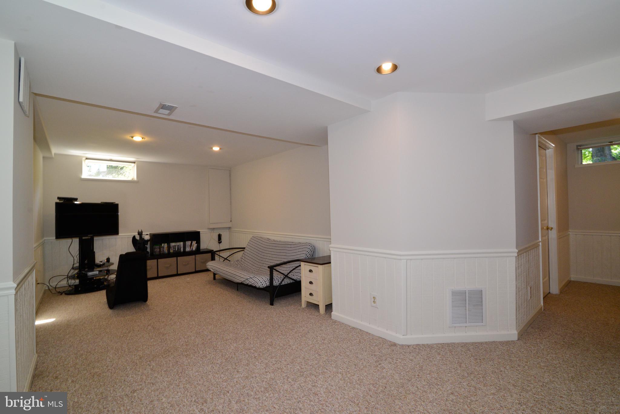 1494 Coat Ridge Road Herndon, VA 20170 - Photo 27 of 37 Two large areas in LL for multiple uses