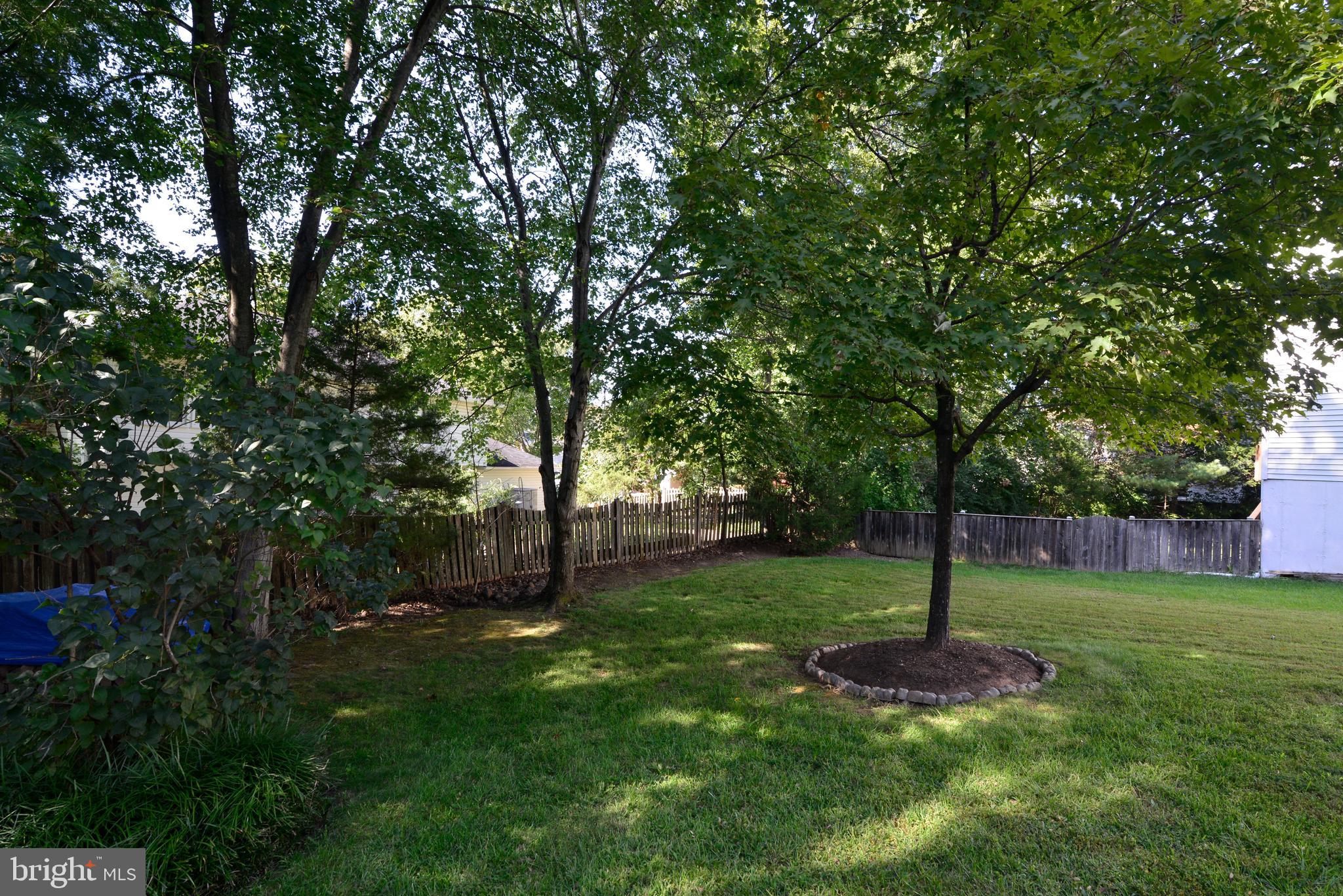 1494 Coat Ridge Road Herndon, VA 20170 - Photo 31 of 37 Back yard
