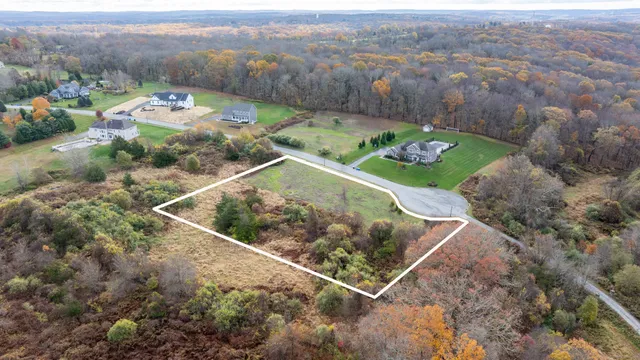 an aerial view of green landscape with trees houses and mountain view