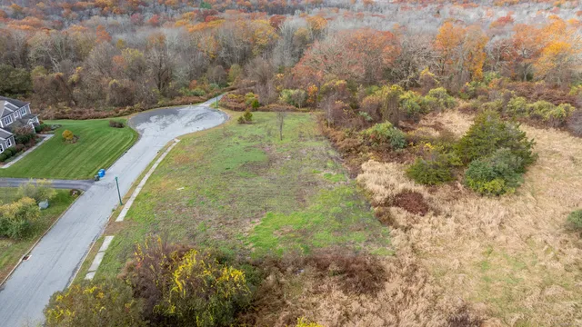 a view of a yard with plants