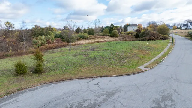 a view of a dry yard with a swimming pool and trees
