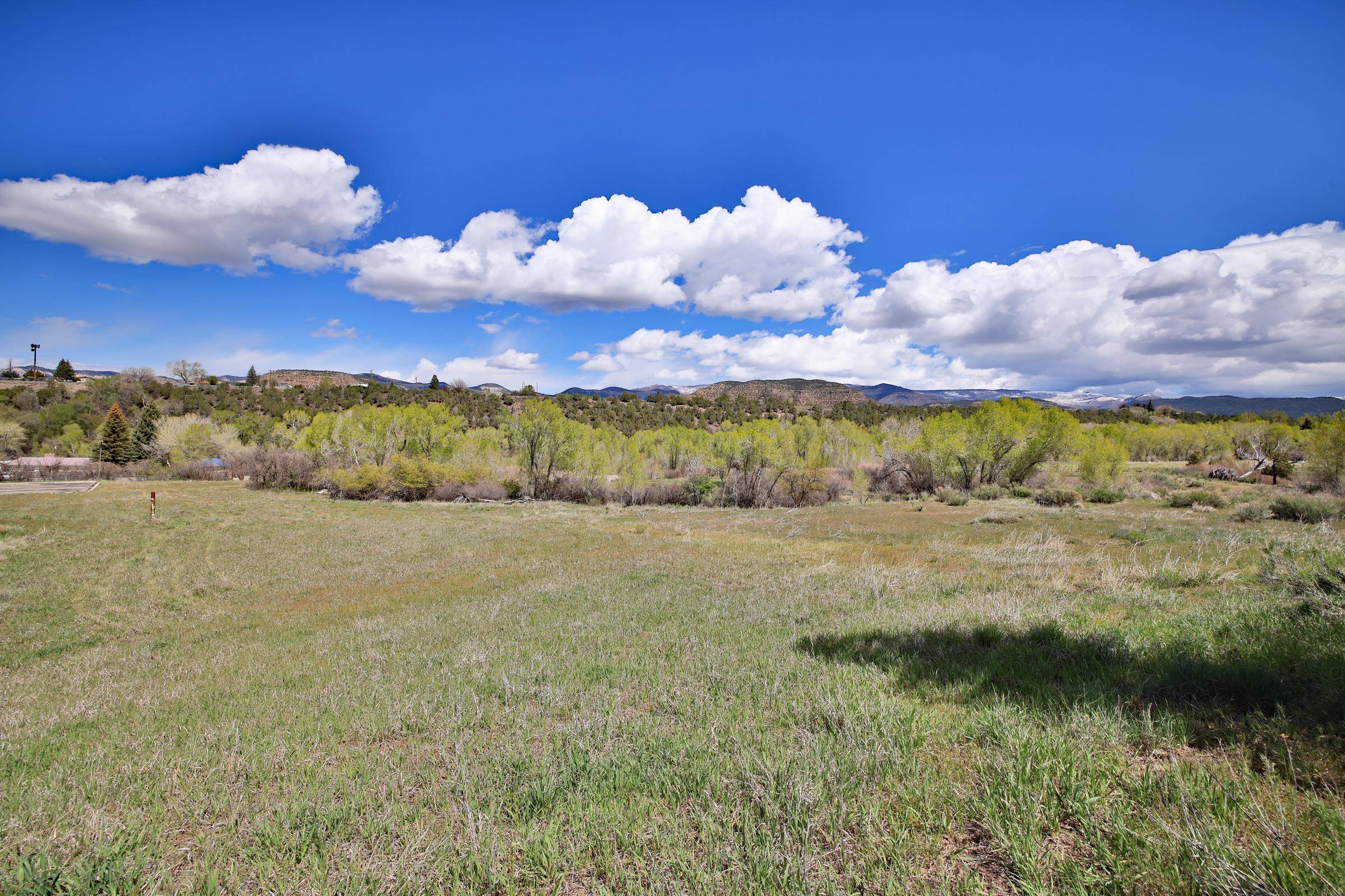 1006 Spring Street Collbran, CO 81624 - Photo 12 of 27