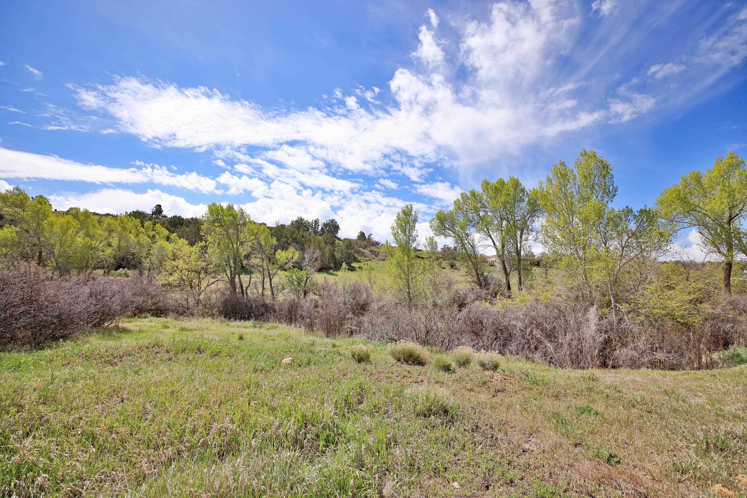 1006 Spring Street Collbran, CO 81624 - Photo 14 of 27