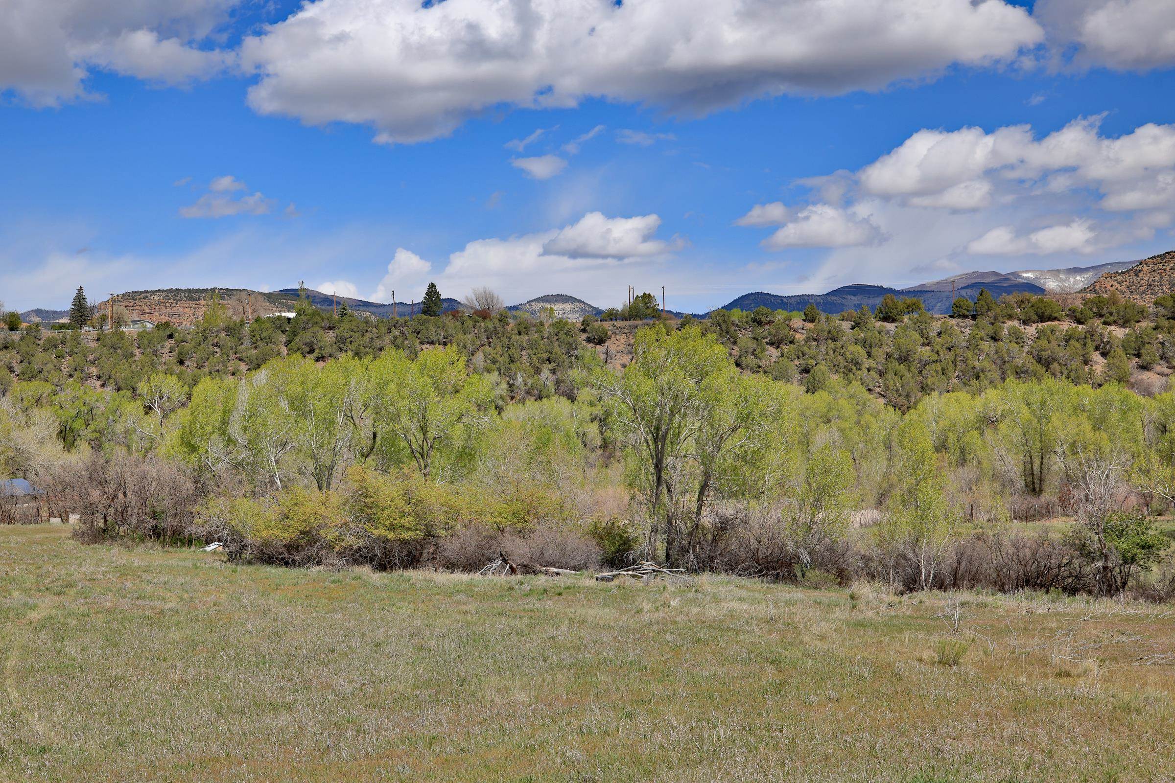 1006 Spring Street Collbran, CO 81624 - Photo 15 of 27