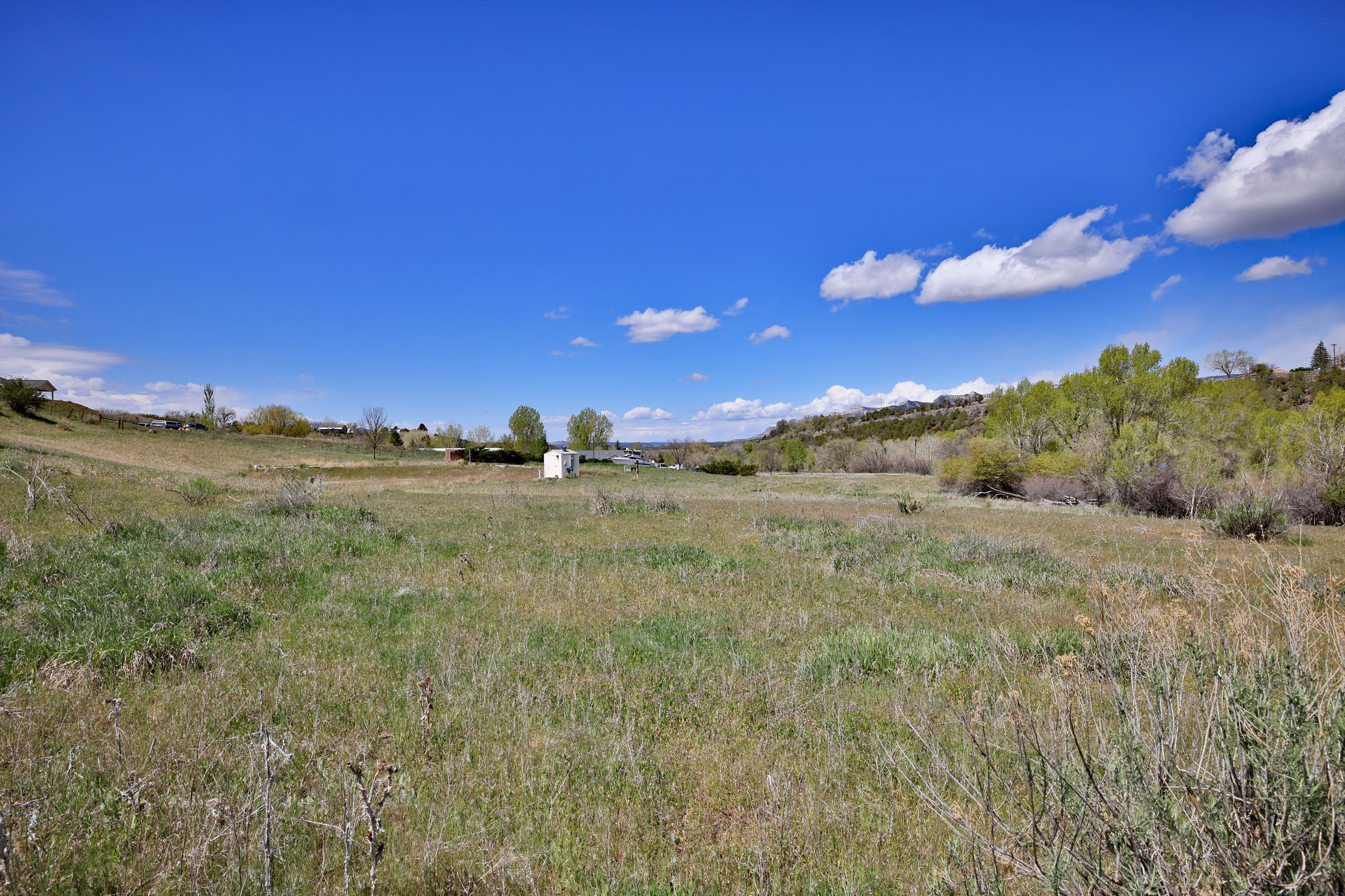 1006 Spring Street Collbran, CO 81624 - Photo 16 of 27