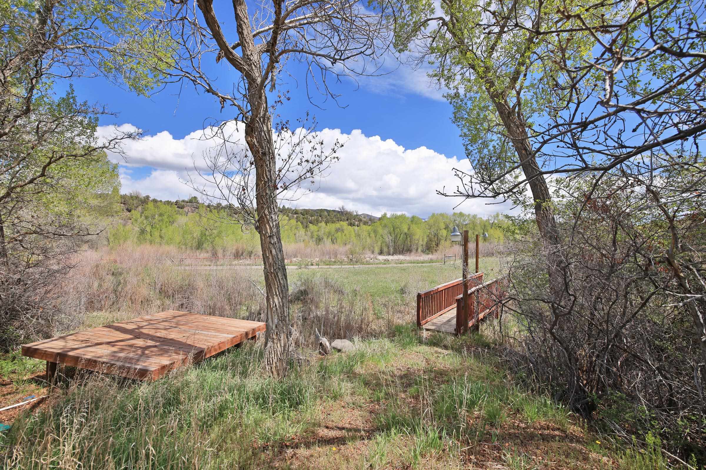 1006 Spring Street Collbran, CO 81624 - Photo 17 of 27