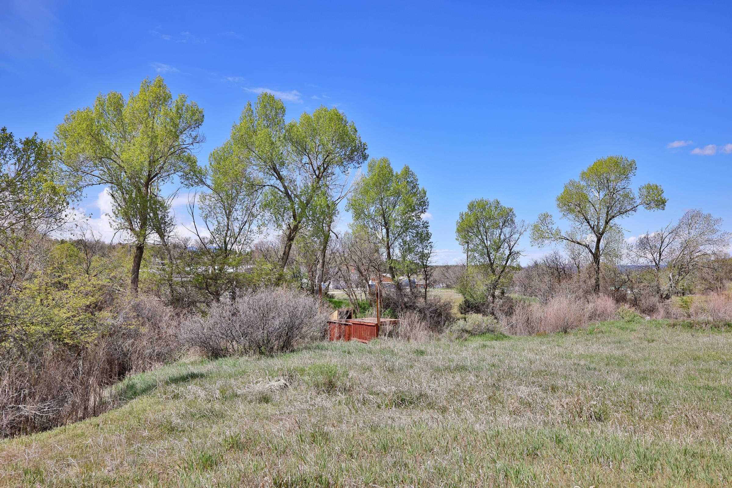 1006 Spring Street Collbran, CO 81624 - Photo 20 of 27