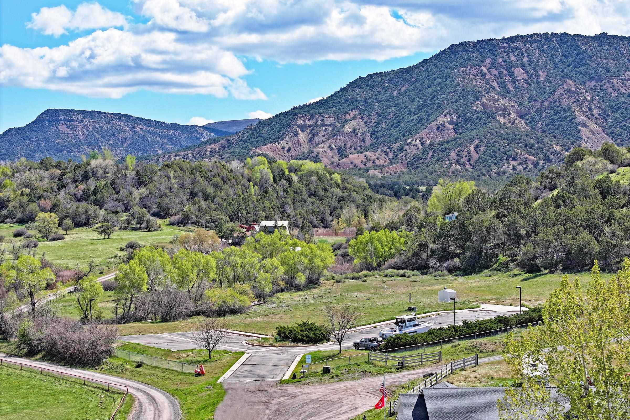1006 Spring Street Collbran, CO 81624 - Photo 4 of 27