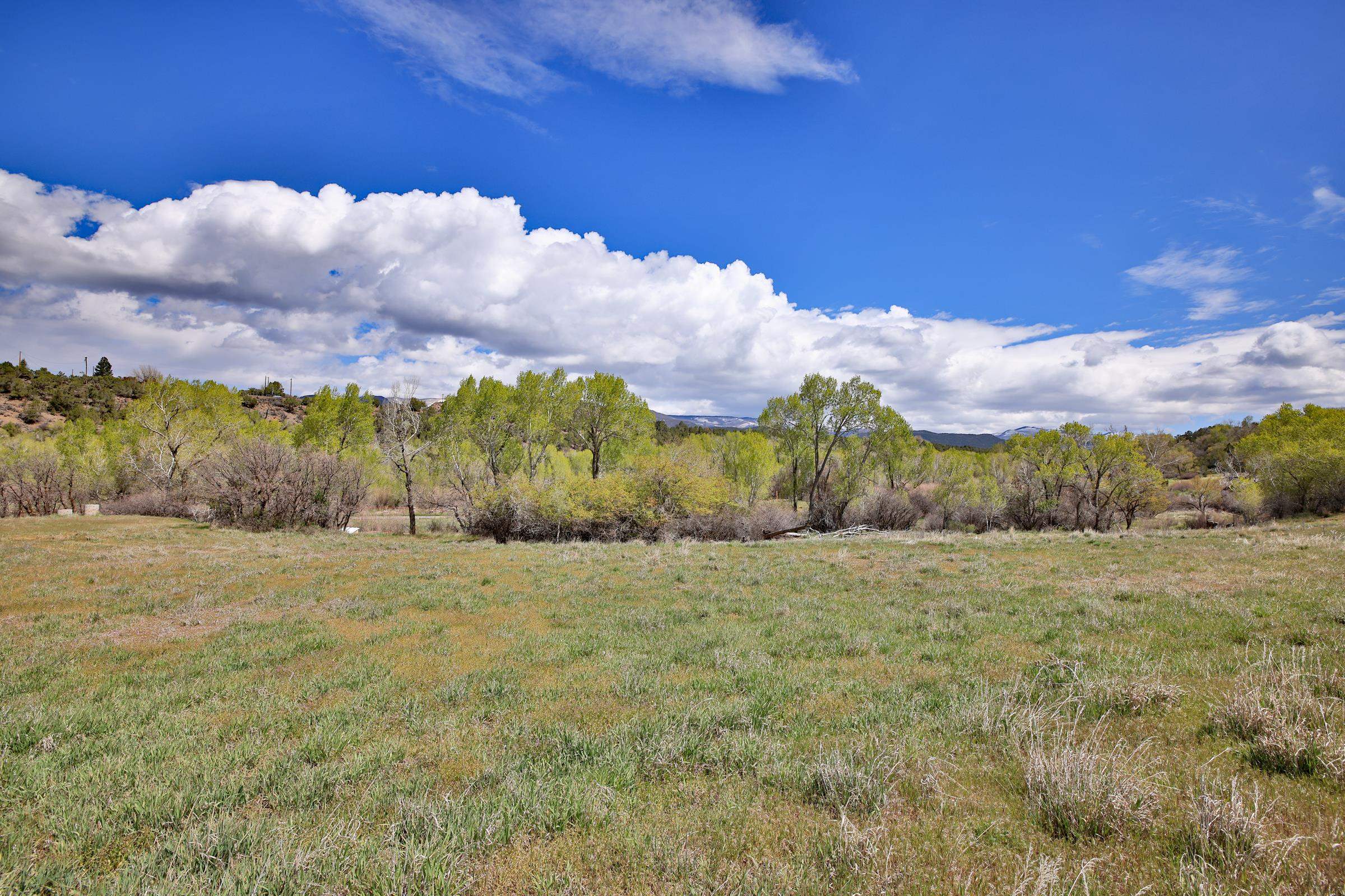 1006 Spring Street Collbran, CO 81624 - Photo 9 of 27