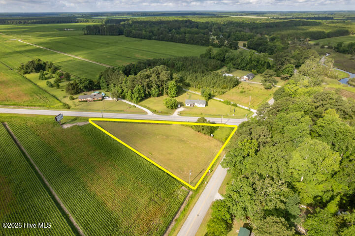 0 Alligator Loop Road Merritt, NC 28556 - Photo 8 of 12