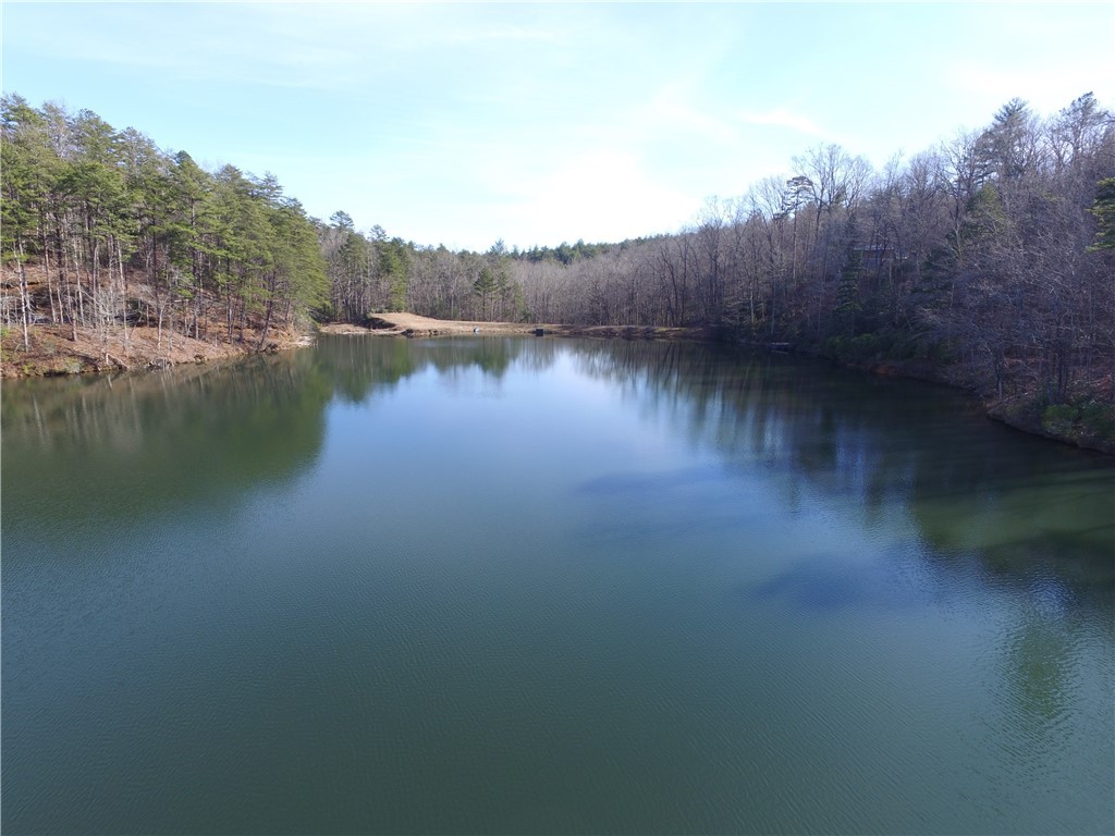 323 Lake Cheohee Road Tamassee, SC 29686 - Photo 27 of 49 Gallery Image 27
