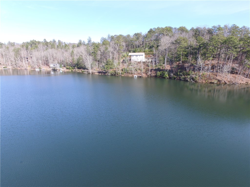 323 Lake Cheohee Road Tamassee, SC 29686 - Photo 29 of 49 Gallery Image 29