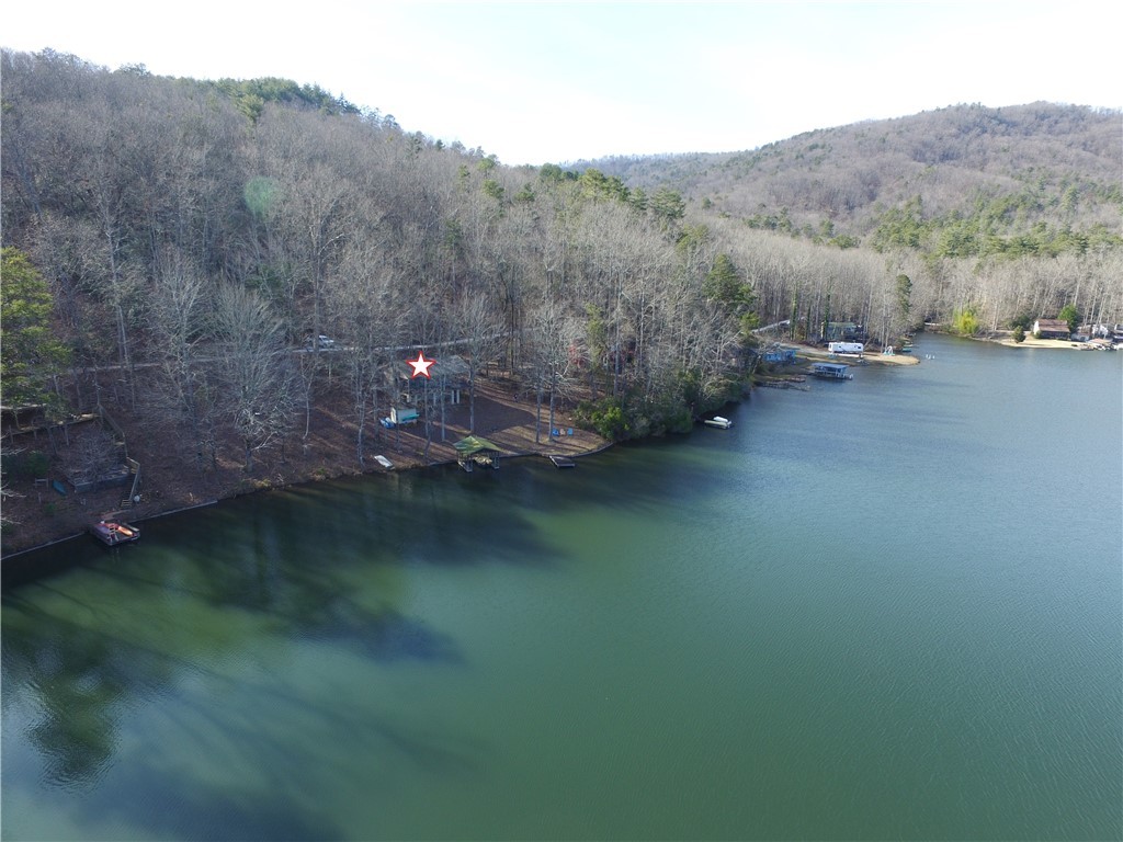 323 Lake Cheohee Road Tamassee, SC 29686 - Photo 32 of 49 Gallery Image 32