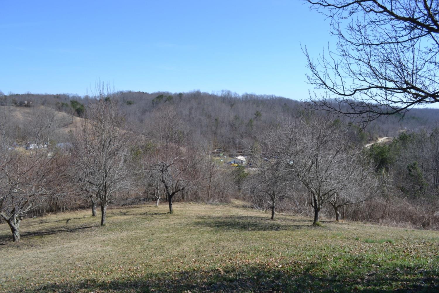 1216 Leger Fork Road Tyner, KY 40486 - Photo 15 of 68 Photo 15