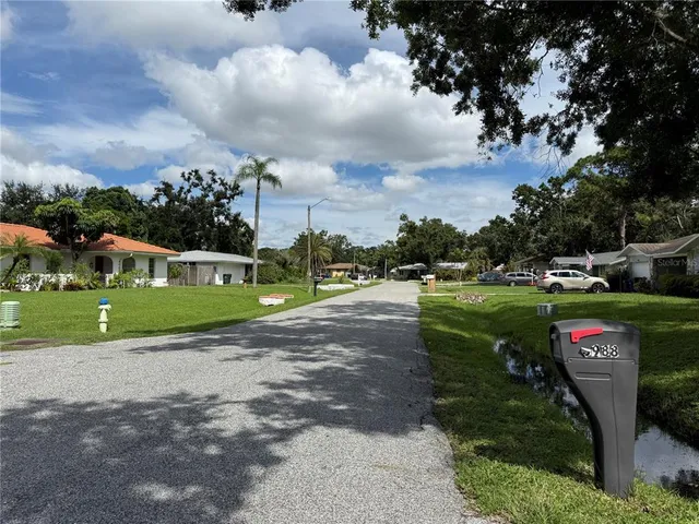 a view of a park with large trees