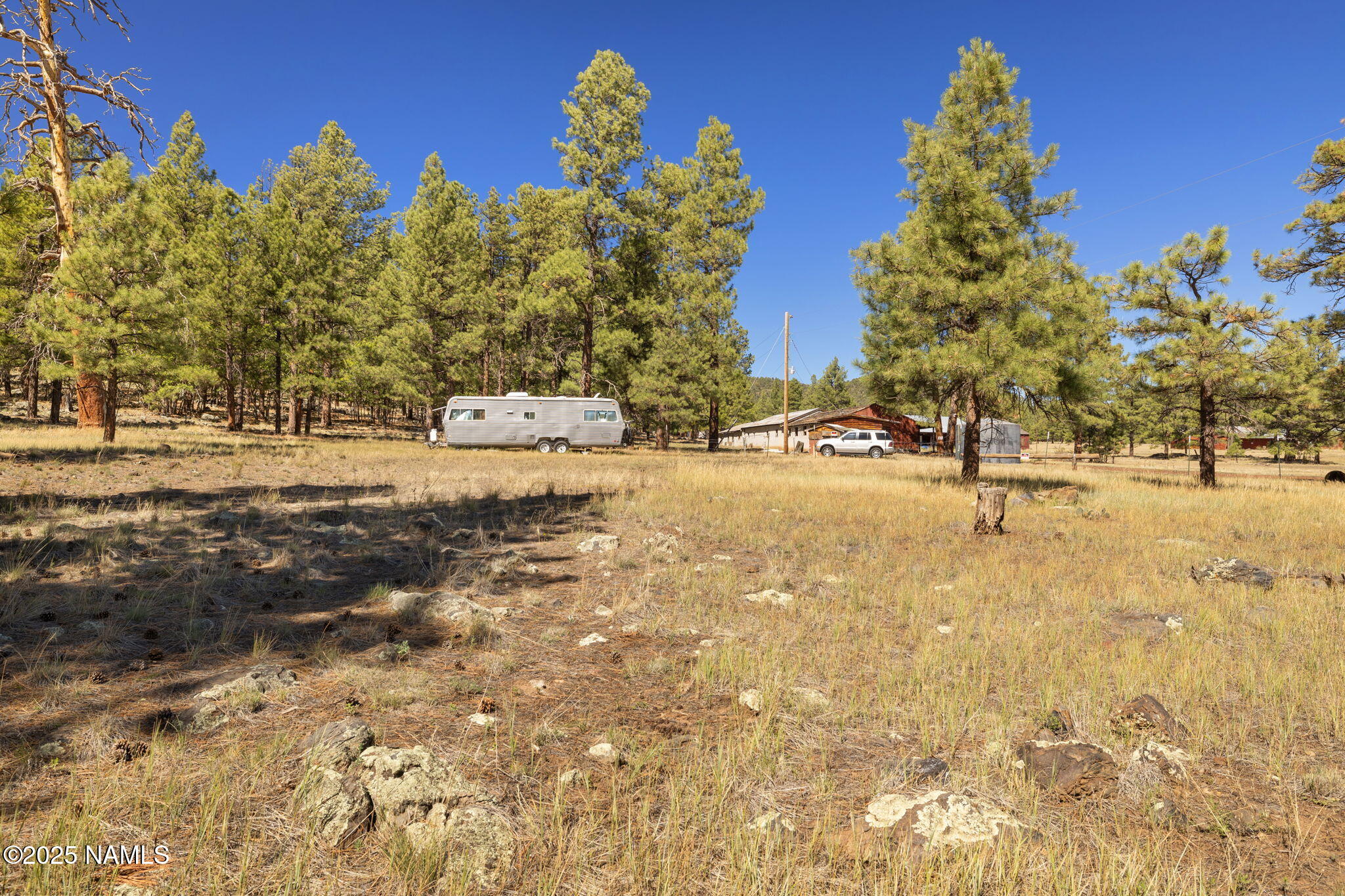 358 Cooper Ranch Road Williams, AZ 86046 - Photo 12 of 19 a view of a yard with a tree