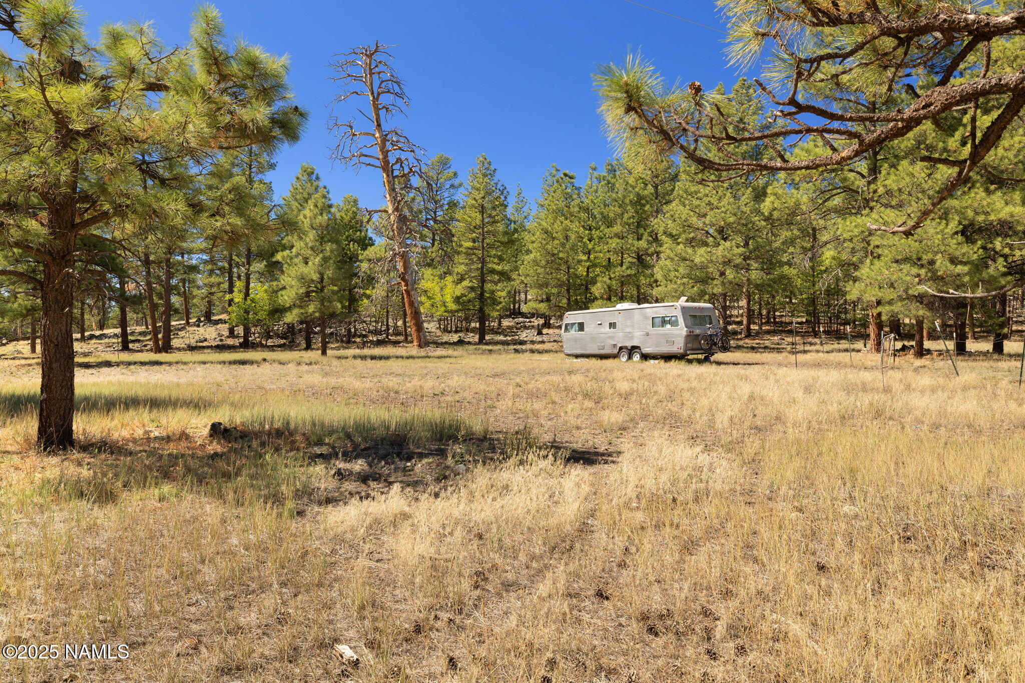 358 Cooper Ranch Road Williams, AZ 86046 - Photo 13 of 19 a view of a yard with a tree
