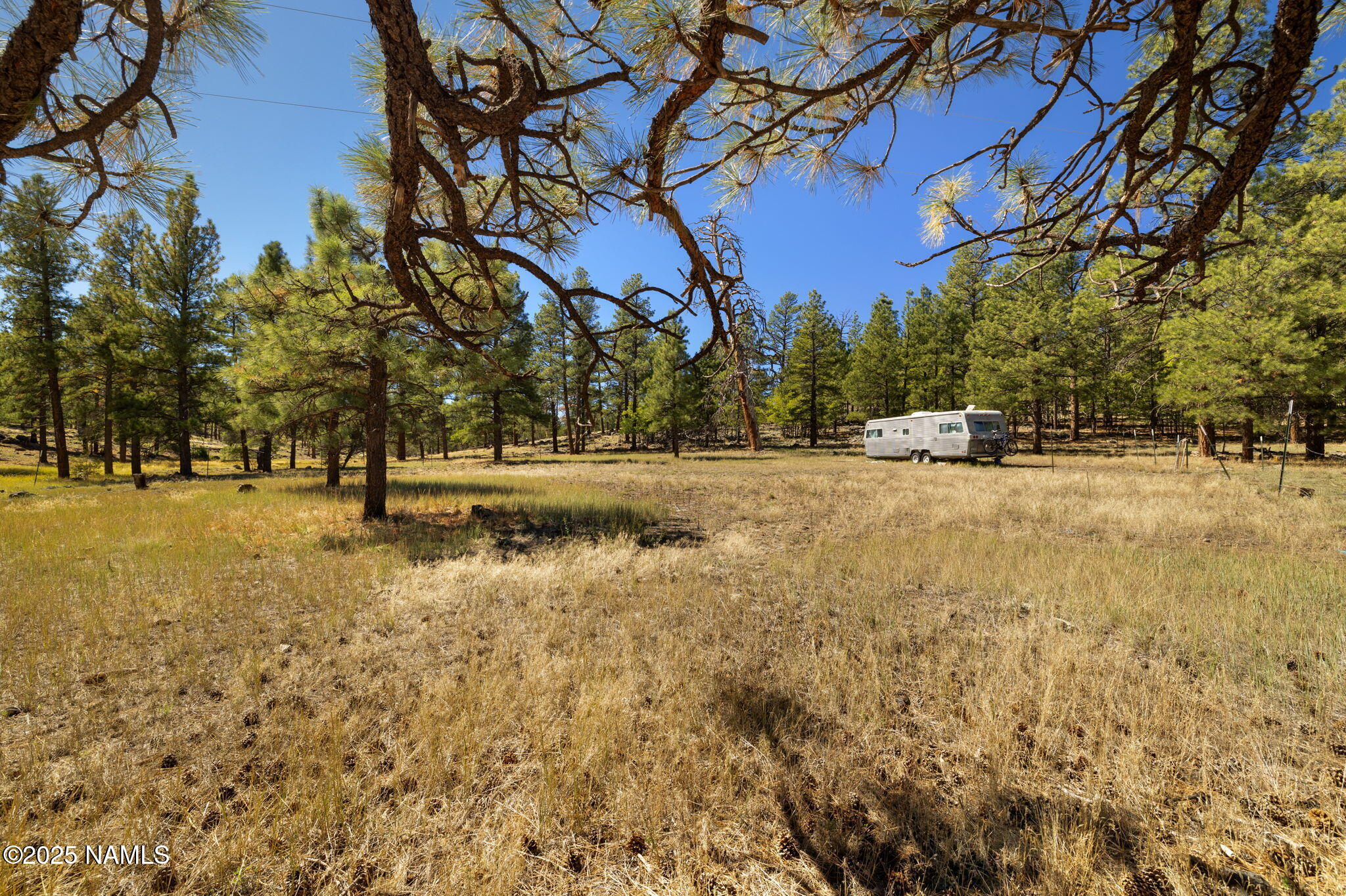 358 Cooper Ranch Road Williams, AZ 86046 - Photo 14 of 19 a view of yard with trees