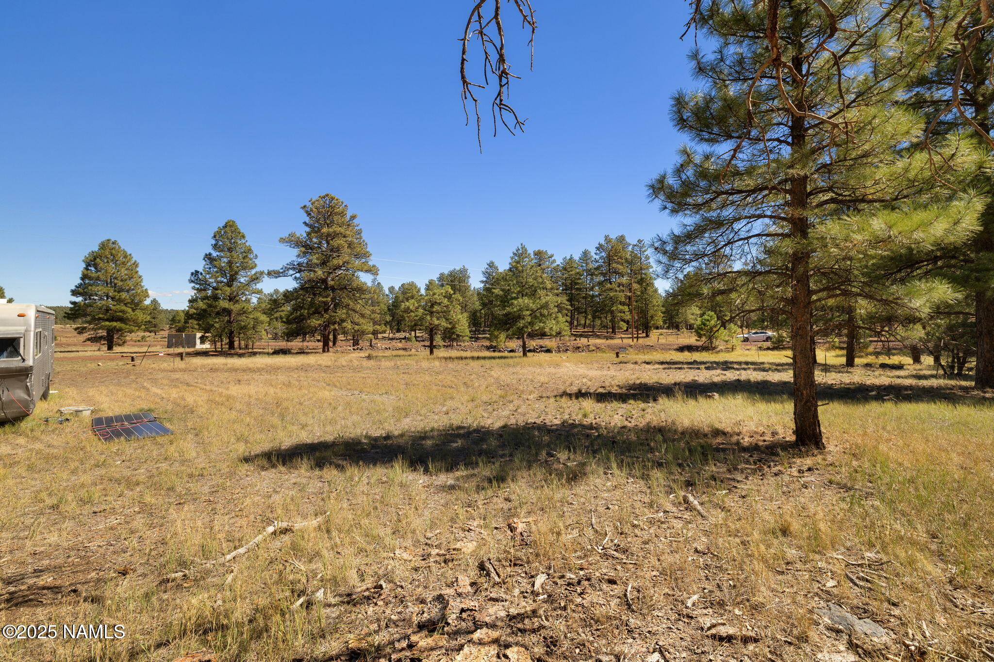 358 Cooper Ranch Road Williams, AZ 86046 - Photo 15 of 19 a view of yard with trees