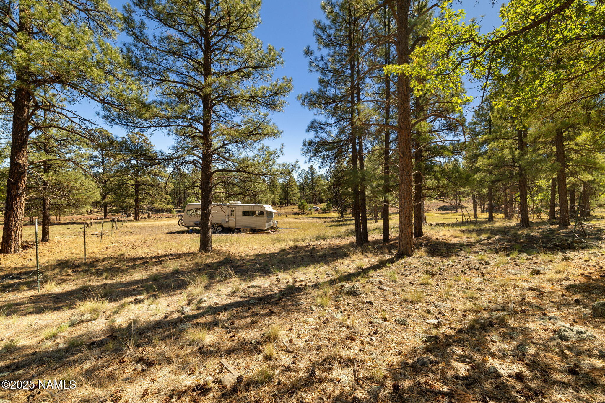 358 Cooper Ranch Road Williams, AZ 86046 - Photo 16 of 19 a view of road with trees