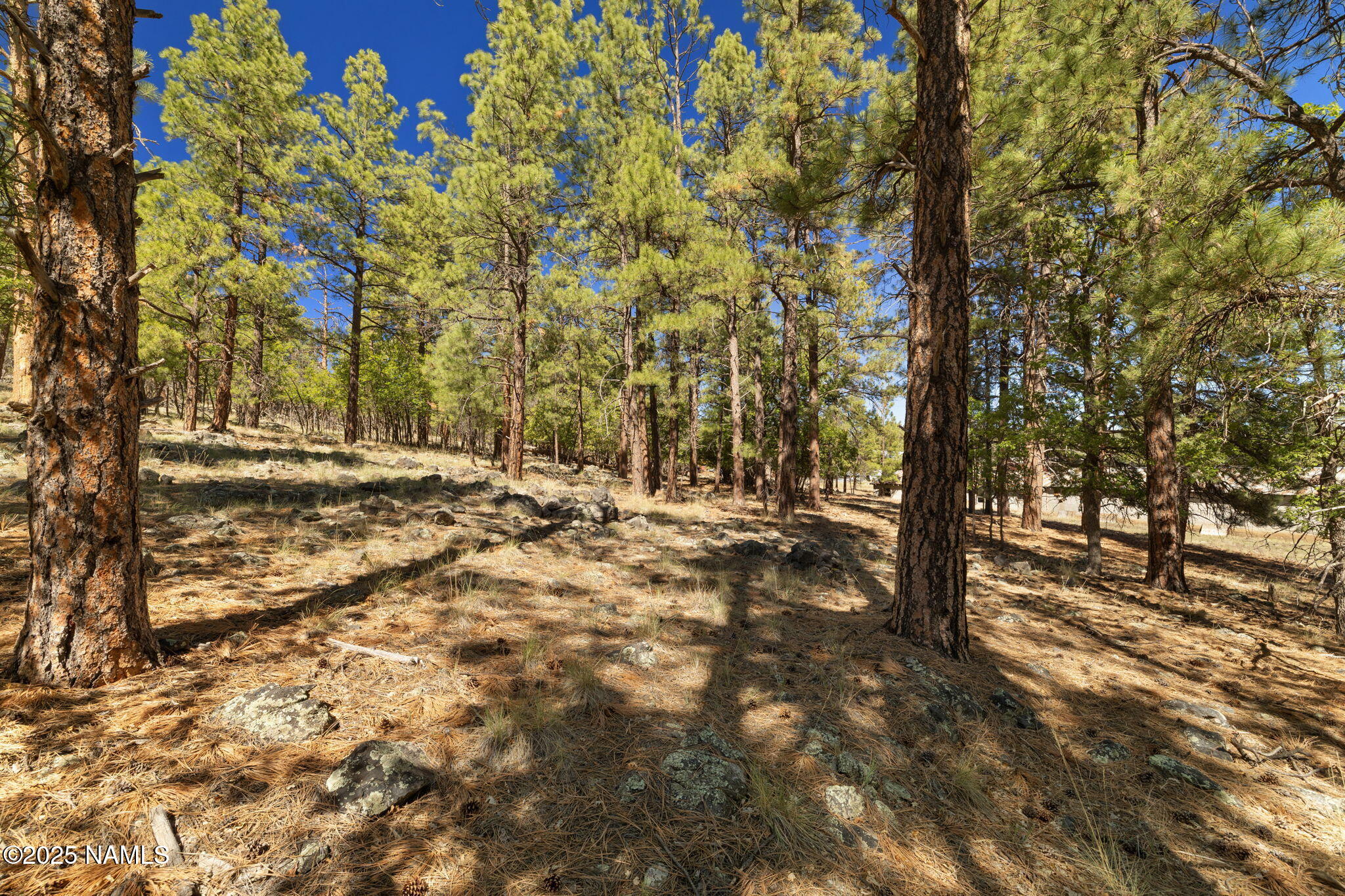 358 Cooper Ranch Road Williams, AZ 86046 - Photo 17 of 19 a view of outdoor space with deck and tree