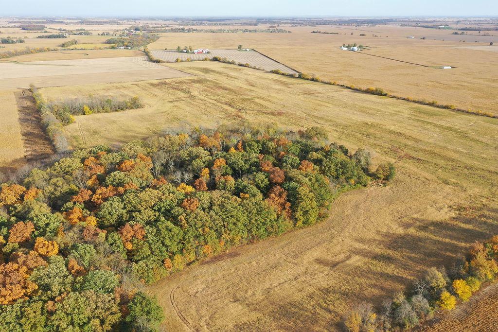 0 Oday Harrison Road Mount Sterling, OH 43143 - Photo 6 of 7