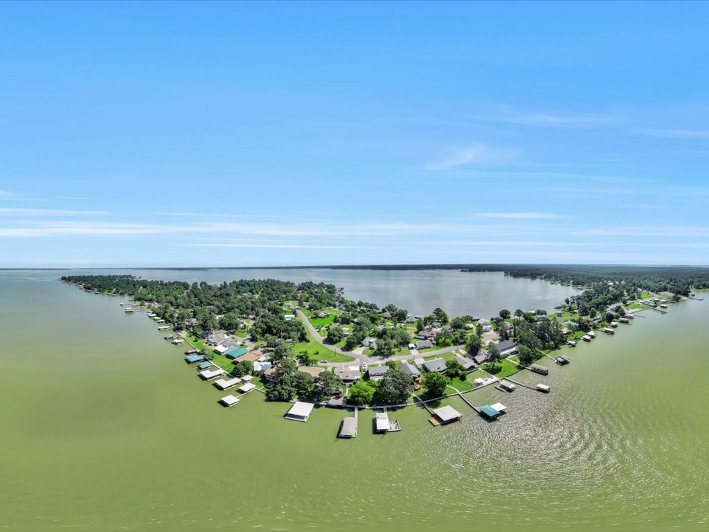 115 Harbor Add Drive Livingston, TX 77351 - Photo 36 of 44 a view of a lake