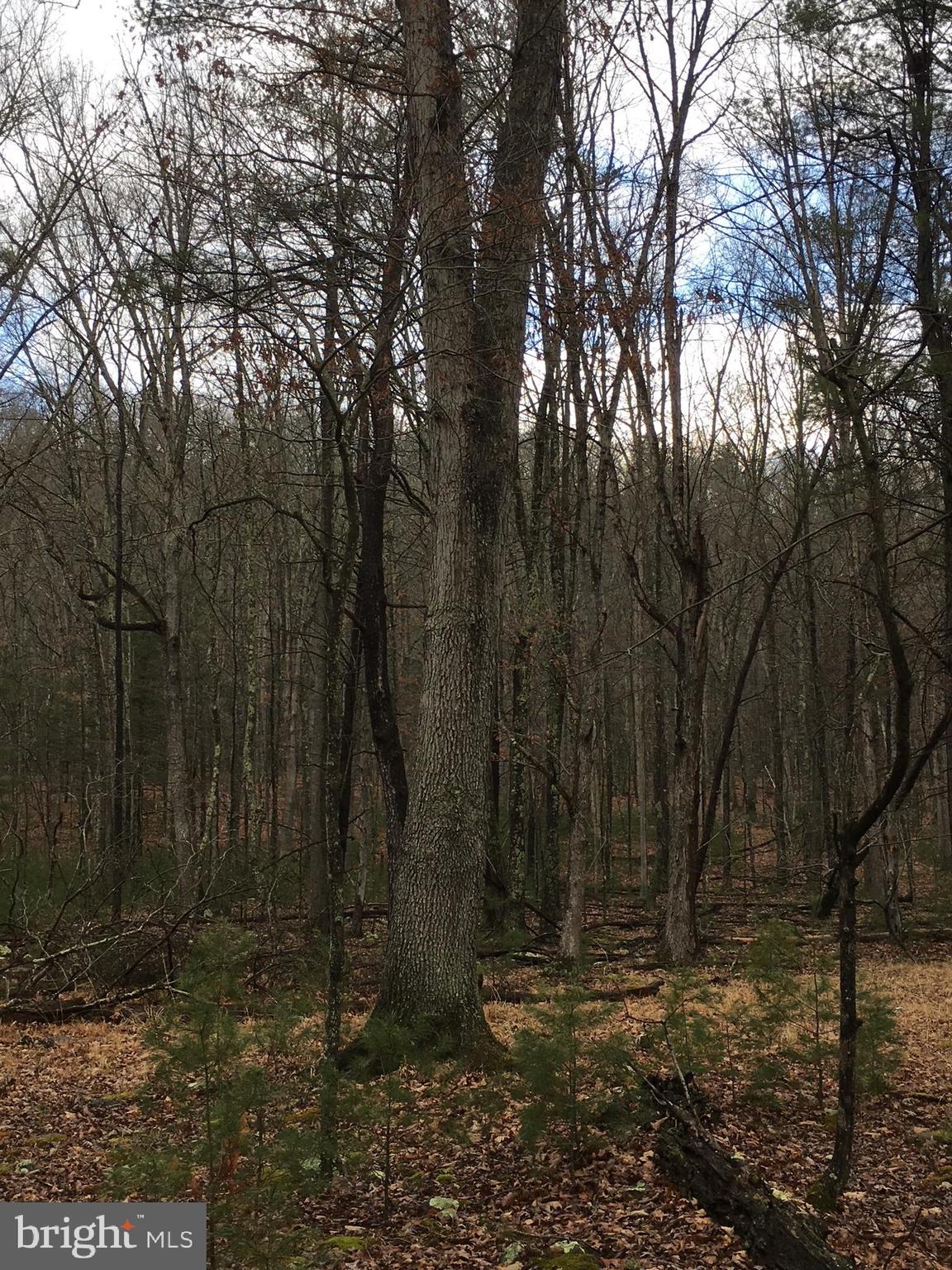 Lot 89 Orndorff Way Yellow Spring, WV 26865 - Photo 4 of 11