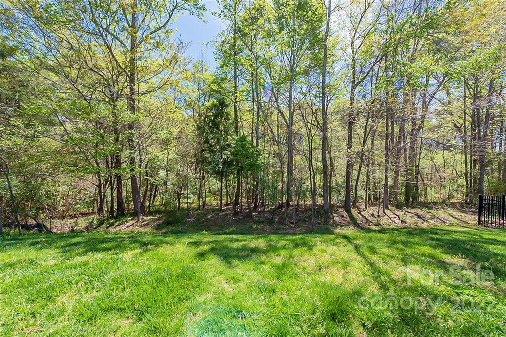 1629 Beleek Ridge Lane Clover, SC 29710 - Photo 20 of 23 a view of a backyard with palm trees