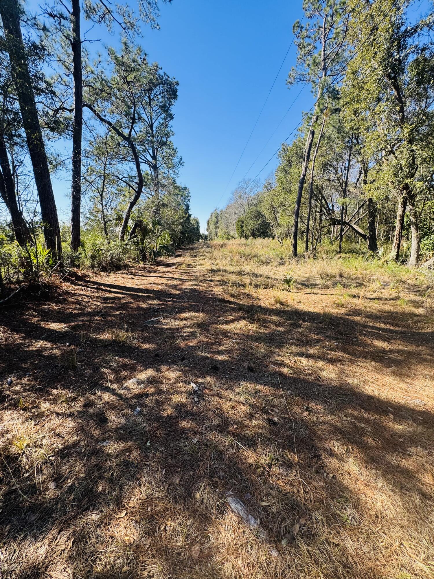 0 Rosa Scott Road Edisto Island, SC 29438 - Photo 13 of 15 IMG_8210