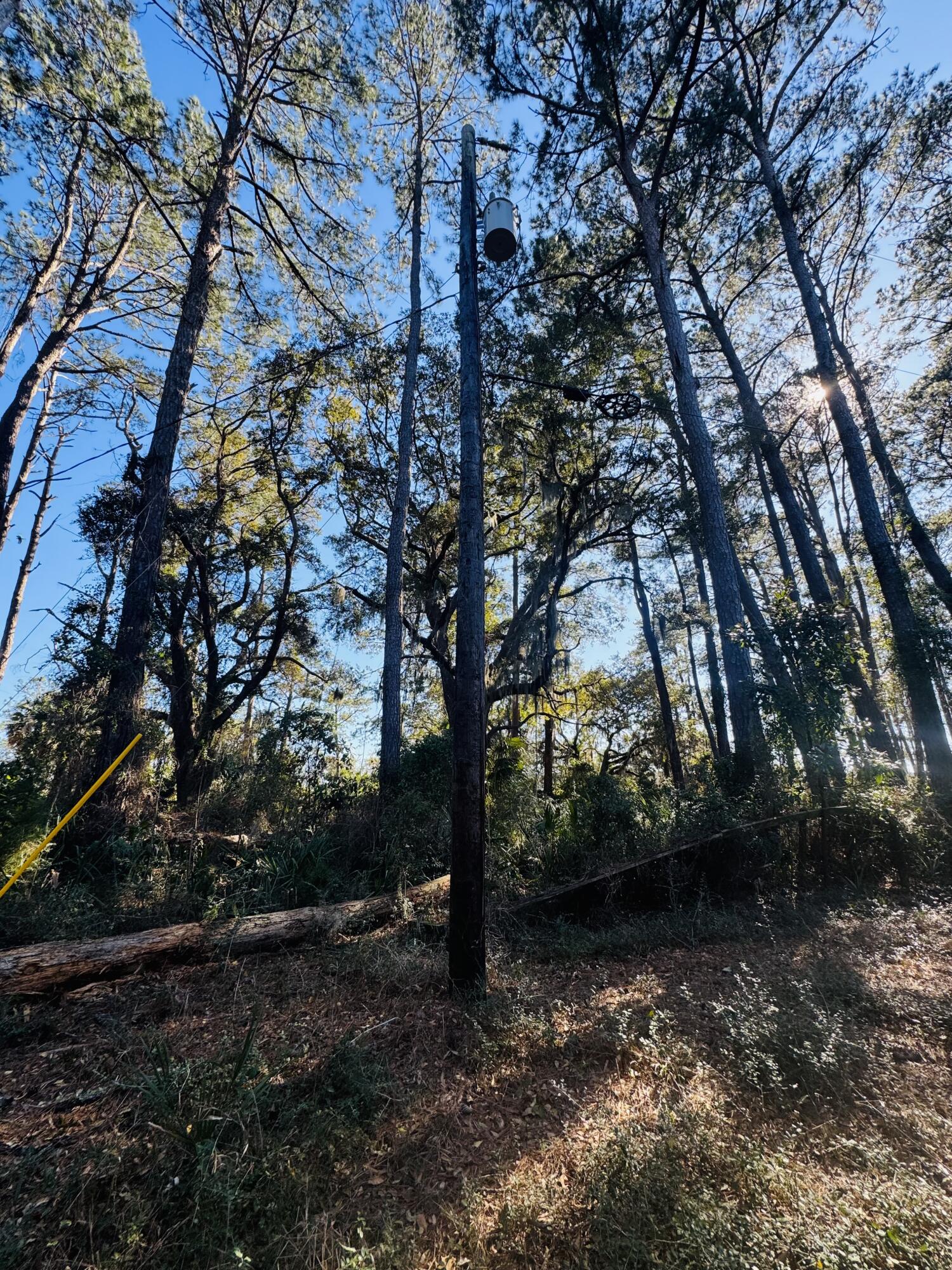 0 Rosa Scott Road Edisto Island, SC 29438 - Photo 15 of 15 IMG_8225