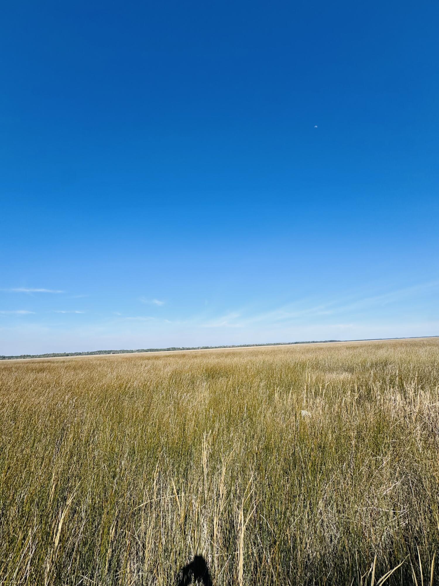 0 Rosa Scott Road Edisto Island, SC 29438 - Photo 7 of 15 IMG_8235