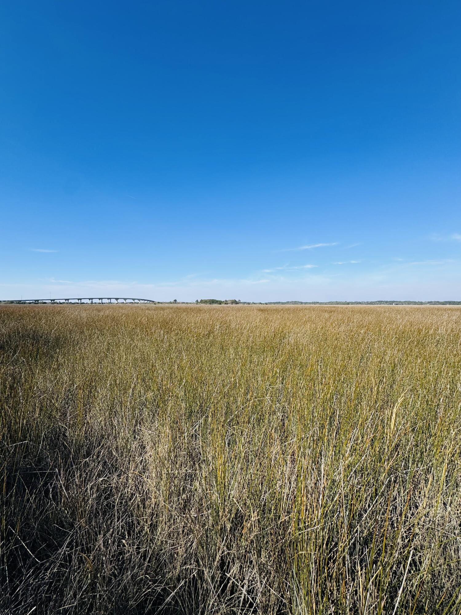0 Rosa Scott Road Edisto Island, SC 29438 - Photo 8 of 15 IMG_8234