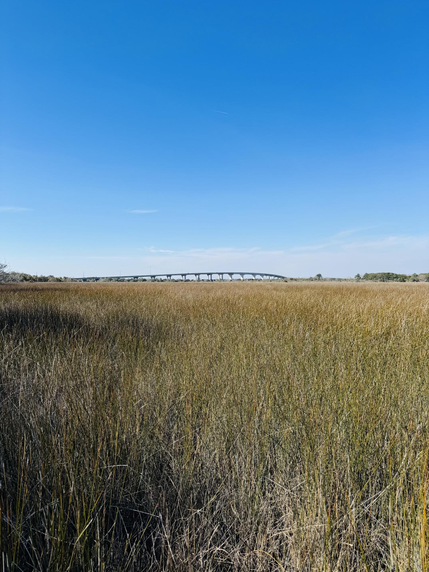 0 Rosa Scott Road Edisto Island, SC 29438 - Photo 9 of 15 IMG_8231