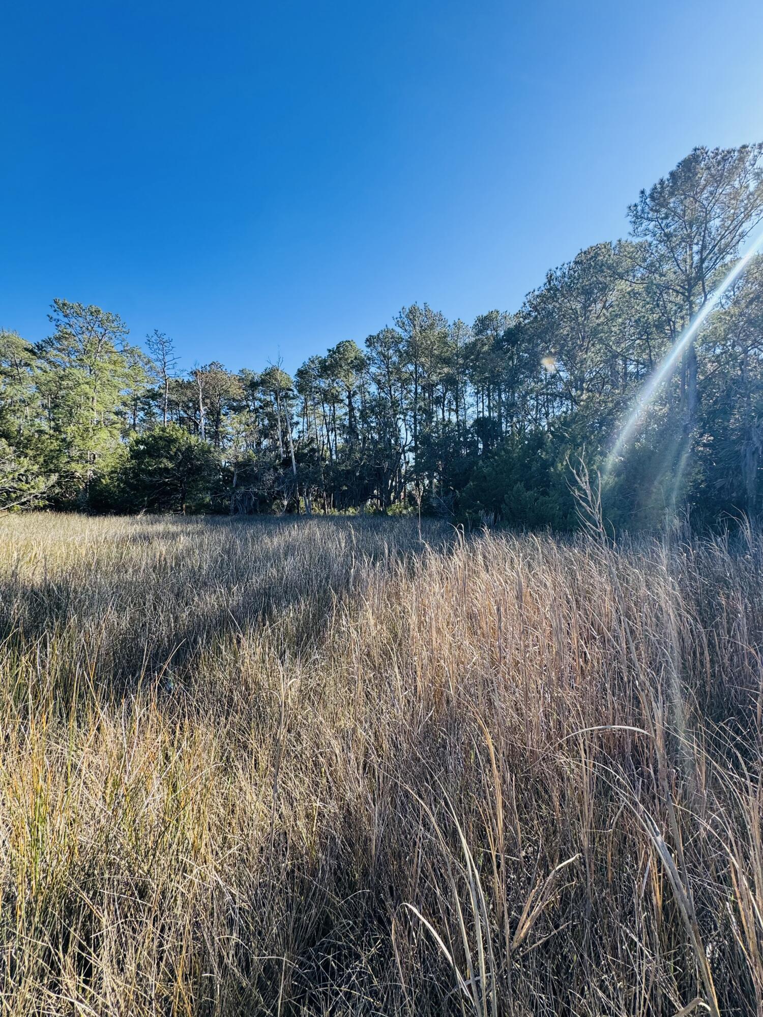 0 Rosa Scott Road Edisto Island, SC 29438 - Photo 10 of 15 IMG_8230