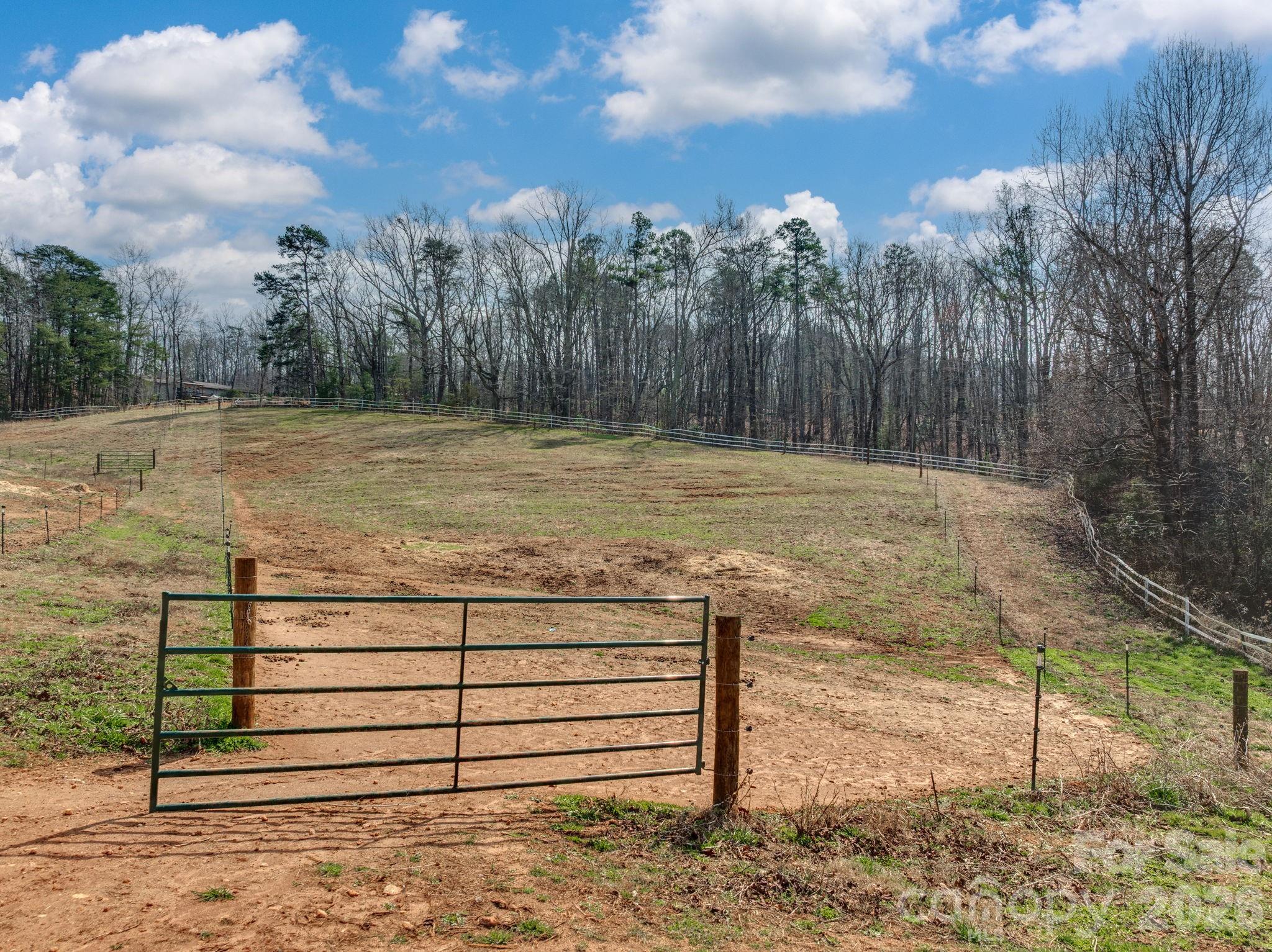 1487 Hayes Road Columbus, NC 28722 - Photo 38 of 48 a view of a backyard with trees