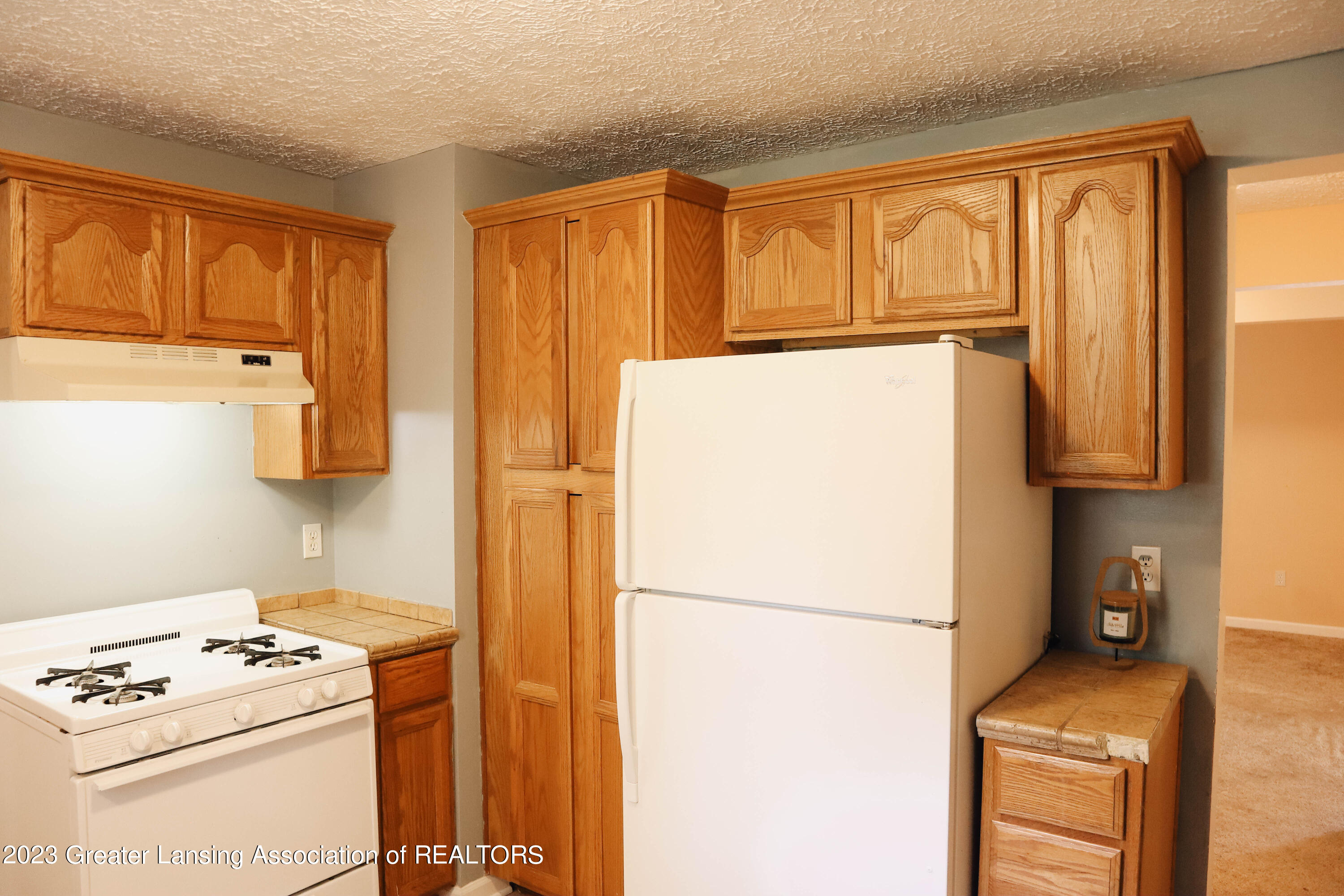 4923 Ballard Road Lansing, MI 48911 - Photo 8 of 28 IMG_2706
