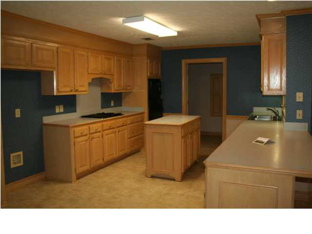437 Point Drive Brandon, MS 39047 - Photo 5 of 11 Kitchen