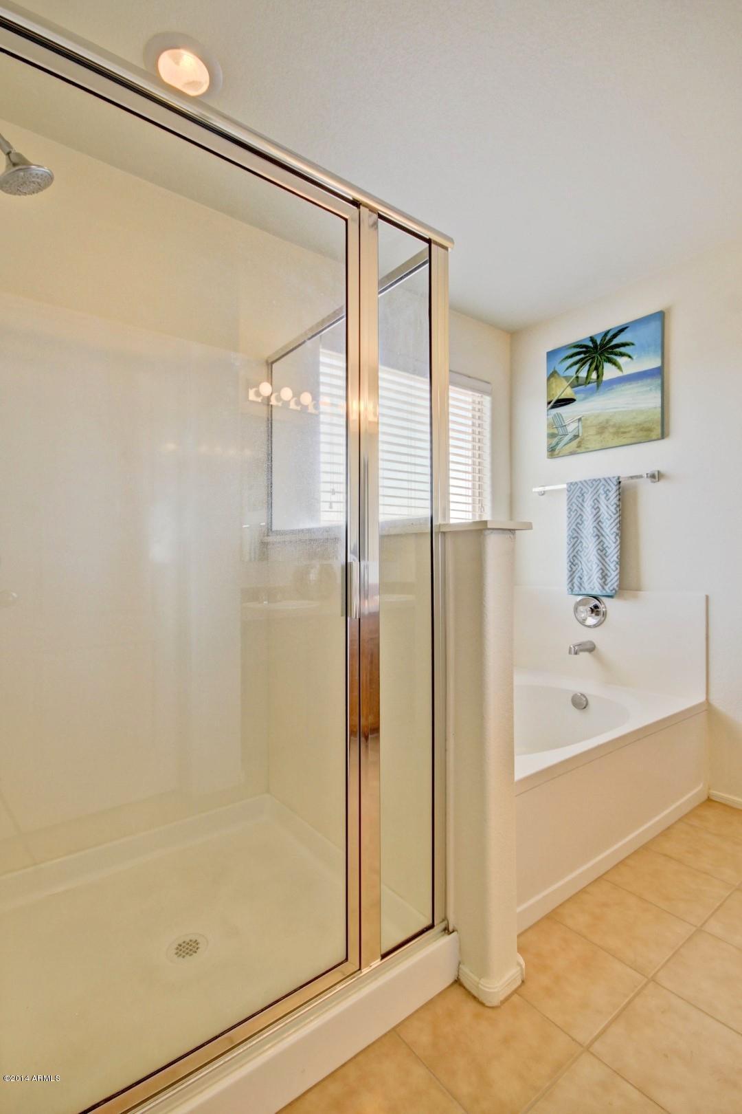 17651 West Red Bird Road Surprise, AZ 85387 - Photo 19 of 30 master bath