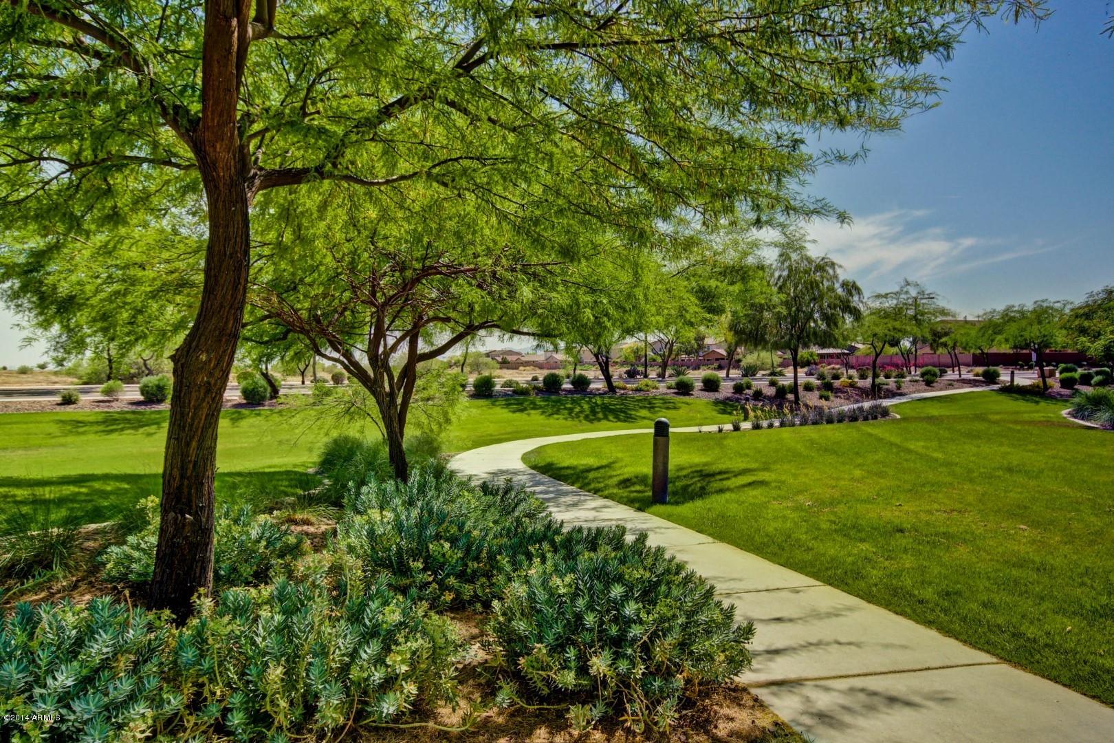17651 West Red Bird Road Surprise, AZ 85387 - Photo 28 of 30 community walking path