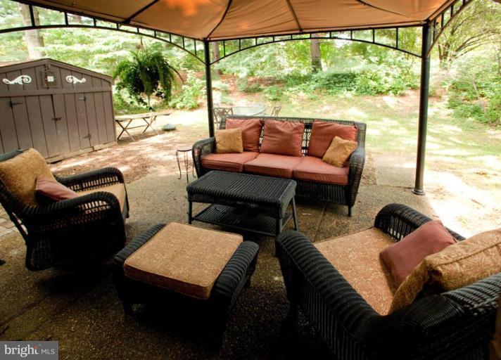 Back yard