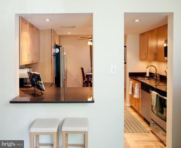 1745 Ivy Oak Square, Unit 3 Reston, VA 20190 - Photo 13 of 30 Kitchen #3