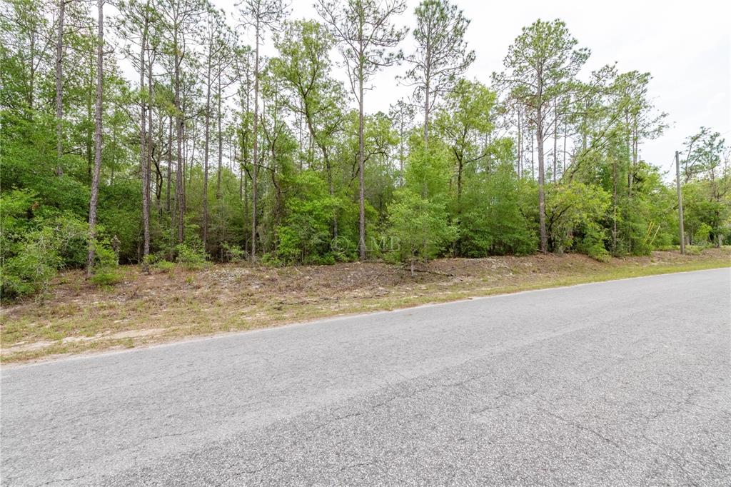 206th Court Road Dunnellon, FL 34431 - Photo 1 of 1 Gallery Image 1
